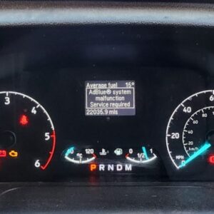 Ford AdBlue Delete & Removal Service