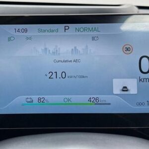 BYD Odometer & Mileage Correction