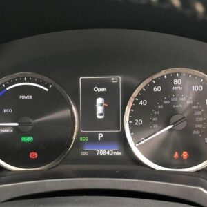 Lexus Odometer & Mileage Correction