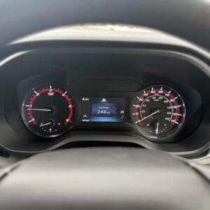 Maxus Odometer & Mileage Correction